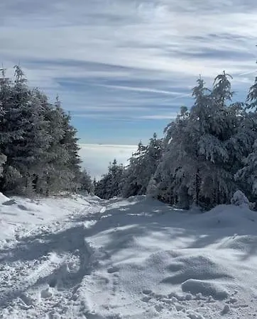 Le Repere Du Chamois